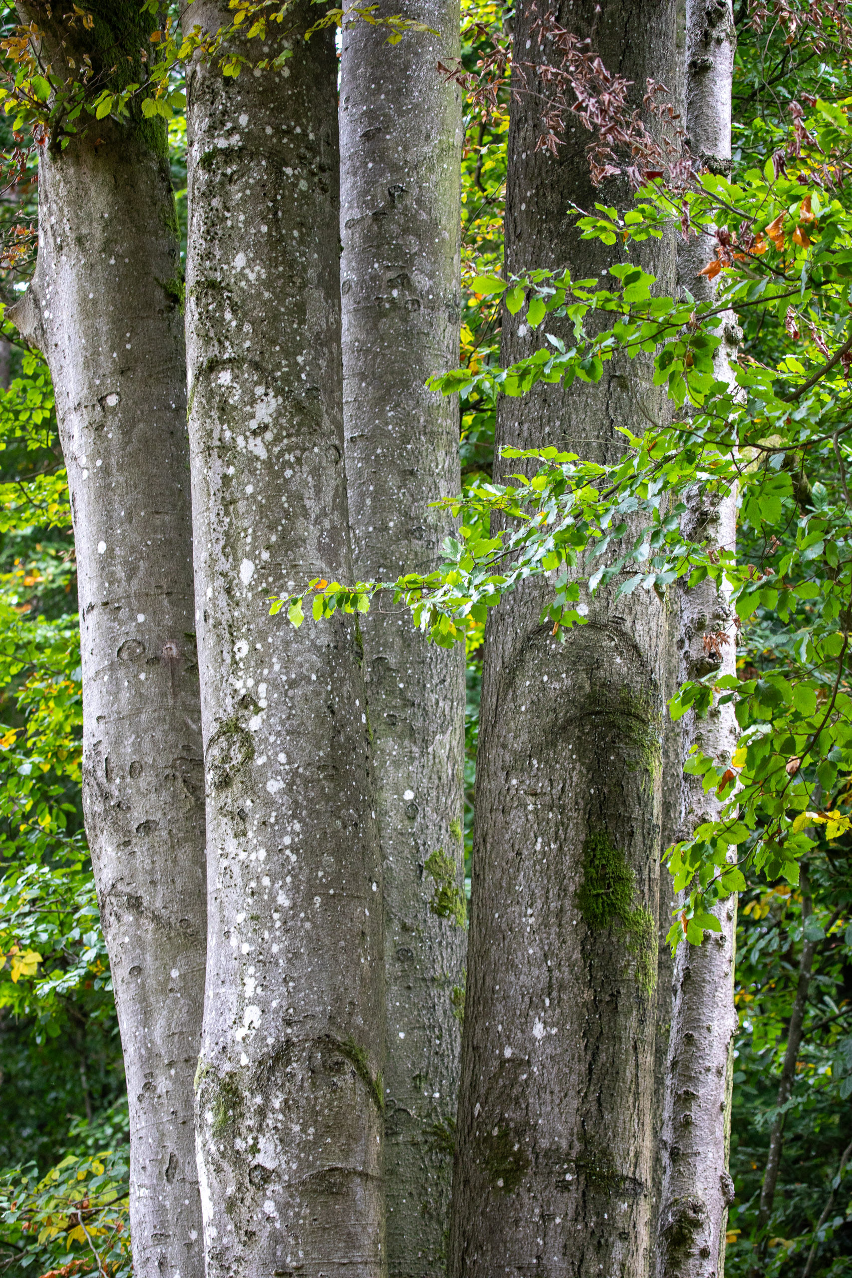 20231014100037 RD4 4633